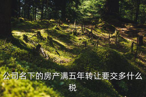公司名下的房產(chǎn)滿五年轉讓要交多什么稅