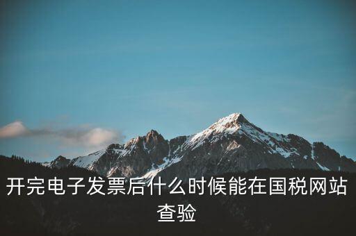 開完電子發(fā)票后什么時(shí)候能在國稅網(wǎng)站查驗(yàn)