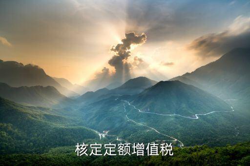核定定額什么意思，什么叫上網(wǎng)電量和核定的定額稅率