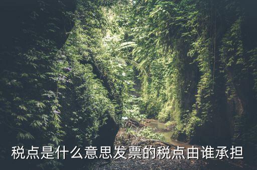 稅點(diǎn)由什么決定，稅點(diǎn)是什么意思