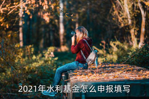 水利基金每年什么時(shí)候申報(bào)，電子稅務(wù)局怎么查啊水利建設(shè)基金是按季報(bào)還是按月報(bào)