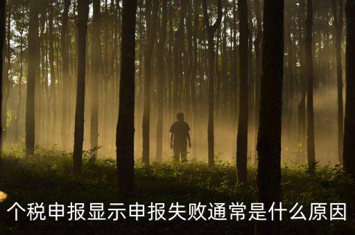個(gè)稅申報(bào)系統(tǒng)為什么不能反饋，為什么個(gè)人所得稅申報(bào)以后反饋信息失敗