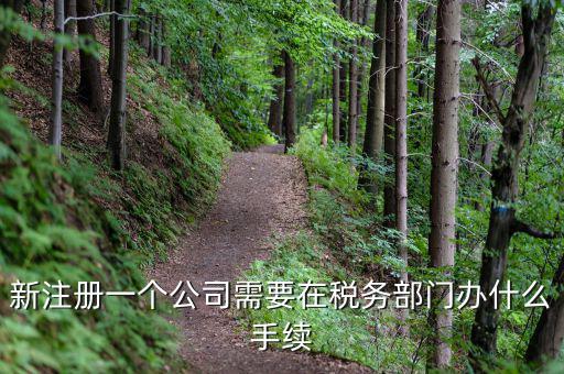 新辦企業(yè)需要到地稅辦理什么手續(xù)費，新注冊一個公司需要在稅務部門辦什么手續(xù)
