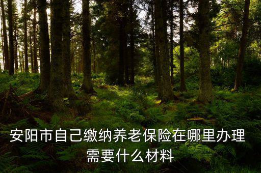 安陽地稅局交個(gè)人保險(xiǎn)在什么地方，安陽市醫(yī)保交費(fèi)在哪里地稅局