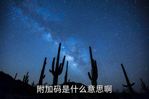 遼寧查發(fā)票有一個(gè)附加碼是什么，發(fā)票真?zhèn)尾樵兇a是什么