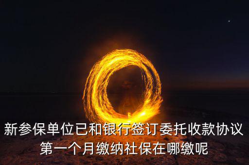 什么時候辦理授權(quán)劃繳協(xié)議，如何取得委托銀行劃轉(zhuǎn)地方稅費授權(quán)書協(xié)議書去銀行還是去地稅