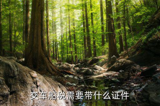 車輛定稅要什么資料，購買車輛購置稅需要哪些手續(xù)