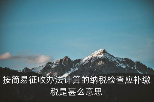 簡易征收什么意思，按簡易征收辦法計算的納稅檢查應補繳稅是甚么意思