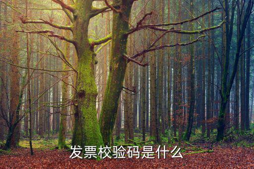 電子發(fā)票 查詢的驗(yàn)證碼是什么，發(fā)票校驗(yàn)碼是什么