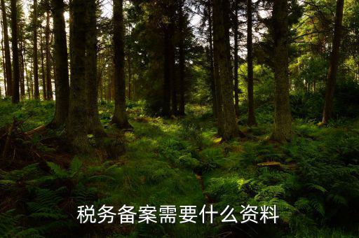消費(fèi)稅免稅備案需要帶什么資料，理跨境服務(wù)免稅備案手續(xù)時(shí)需要提交哪些資料