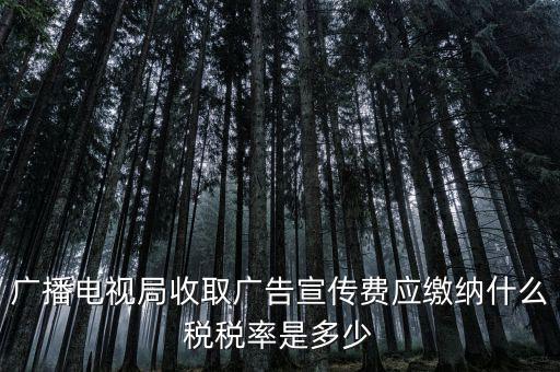 宣傳費屬于什么稅，廣播電視局收取廣告宣傳費應(yīng)繳納什么稅稅率是多少