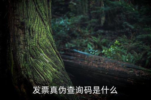 網(wǎng)絡(luò)發(fā)票查詢號是什么，發(fā)票真?zhèn)尾樵兇a是什么