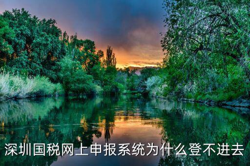 深圳國稅網上申報系統(tǒng)為什么登不進去