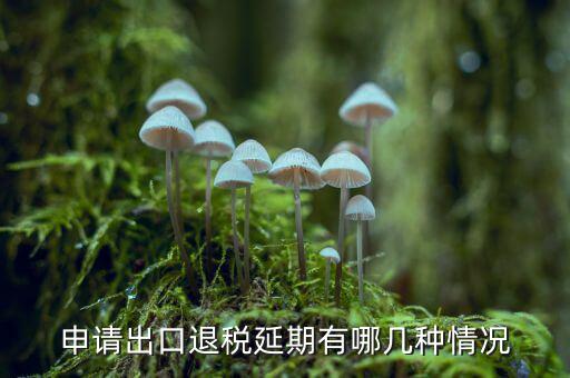 出口退稅申報(bào)延期需要什么，如何辦理出口退稅延期申報(bào)的申請(qǐng)和審批