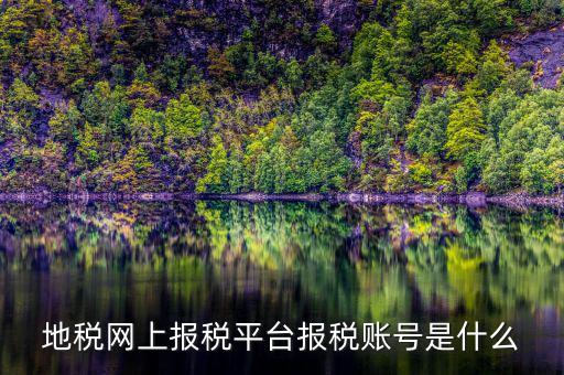 地稅網上報稅平臺報稅賬號是什么