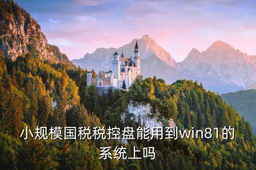 稅盤安裝支持什么系統(tǒng)下載，稅控發(fā)票開票軟件v2130170612能在win10上安裝嗎