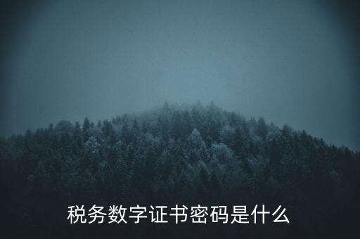 輸入稅務數(shù)字證書密碼是什么，稅務數(shù)字證書密碼是什么
