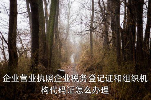 企業(yè)營業(yè)執(zhí)照企業(yè)稅務登記證和組織機構代碼證怎么辦理