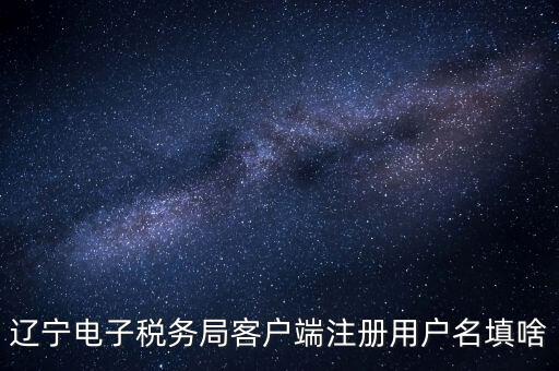 遼寧省網(wǎng)上稅務(wù)局登錄需要什么，遼寧電子稅務(wù)局客戶端注冊(cè)用戶名填啥