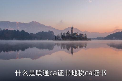 什么是地稅ca證書(shū)，社保CA地稅CA