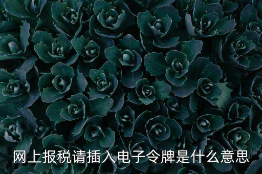 網(wǎng)上報(bào)稅請(qǐng)插入電子令牌是什么意思