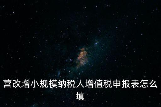營(yíng)改增需要填什么表，營(yíng)改增小規(guī)模納稅人網(wǎng)上納稅申報(bào)需要填寫(xiě)幾張表