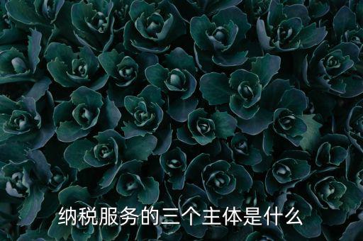 納稅服務(wù) 是什么，納稅服務(wù)的三個主體是什么
