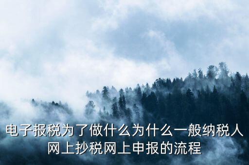 電子稅務(wù)申報(bào)是什么來(lái)的，電子申報(bào)納稅是怎么回事給報(bào)送紙質(zhì)申報(bào)材料一樣嗎