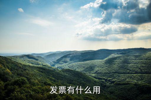 發(fā)票有什么用