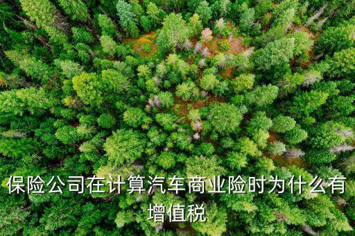 車(chē)輛保險(xiǎn)增值稅是什么意思，保險(xiǎn)公司在計(jì)算汽車(chē)商業(yè)險(xiǎn)時(shí)為什么有增值稅
