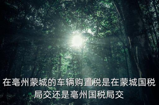 國(guó)稅局掛牌是什么意思，濮陽(yáng)摩托辦照