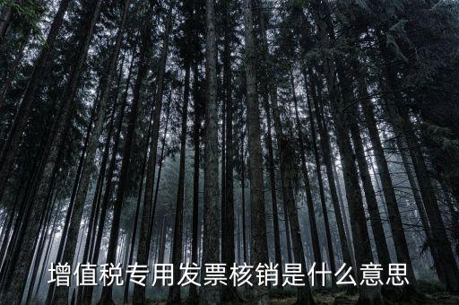 發(fā)票管家是什么，發(fā)票開票系統(tǒng)KEY是什么