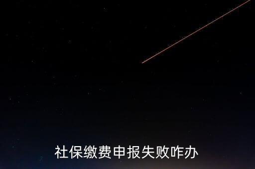 社保費(fèi)申報(bào)為什么進(jìn)不去，社保繳費(fèi)申報(bào)失敗咋辦