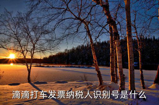稅優(yōu)識別號是什么，滴滴打車發(fā)票納稅人識別號是什么