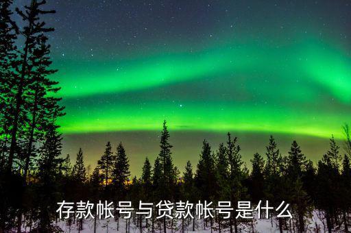 報存款賬號什么意思，到銀行存款 那個存款賬號是什么啊