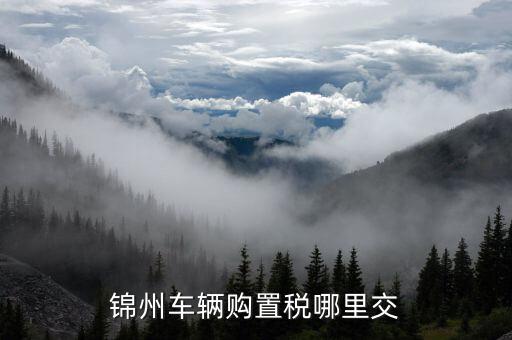 錦州國稅局車輛購置部門是什么，錦州機(jī)動車購置稅在哪里交