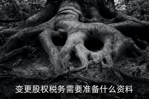 股權(quán)變更完稅憑證需要什么資料，變更股權(quán)稅務(wù)需要準(zhǔn)備什么資料