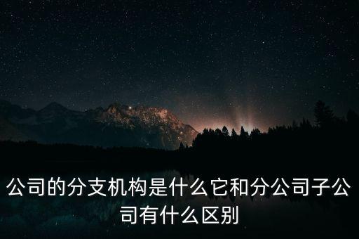 公司的分支機(jī)構(gòu)是什么它和分公司子公司有什么區(qū)別