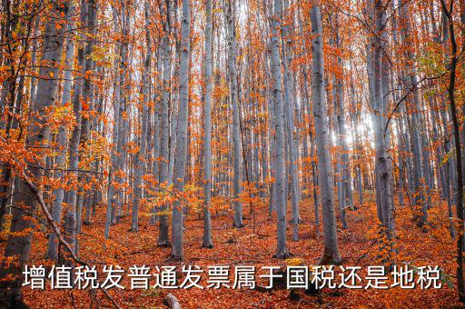 普通發(fā)票是什么稅，普通發(fā)票是國稅發(fā)票嗎