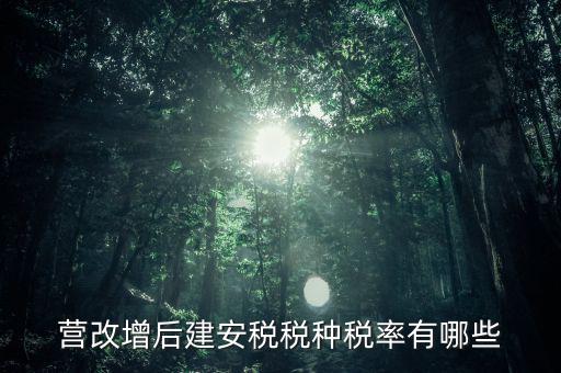 營(yíng)改增后建安稅稅種稅率有哪些