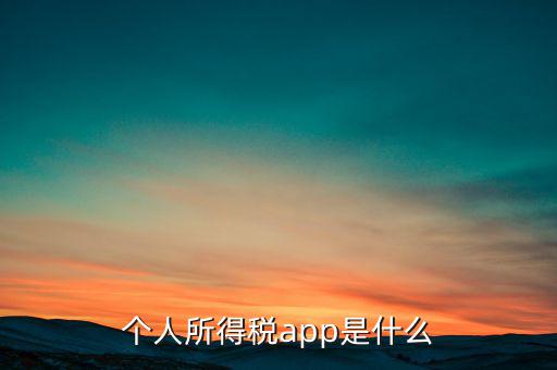 網(wǎng)上交稅要下載什么東西，個(gè)人所得稅官網(wǎng)登錄企業(yè)個(gè)人所得稅要下載什么端口申報(bào)