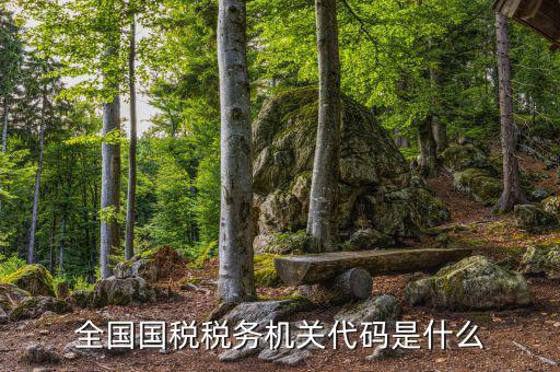 國(guó)稅的用戶代碼是什么，國(guó)稅局發(fā)票軟件里用戶代碼和密碼是什么