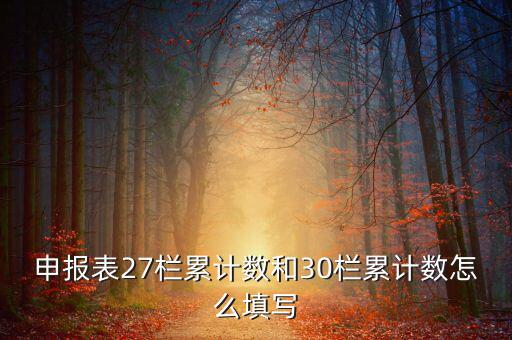 什么是期初未繳稅額，申報表27欄累計數(shù)和30欄累計數(shù)怎么填寫