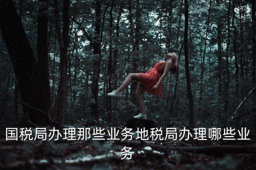 地稅辦理什么業(yè)務(wù)，國稅局辦理那些業(yè)務(wù)地稅局辦理哪些業(yè)務(wù)