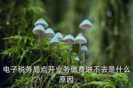 為什么江蘇省電子稅務(wù)局進不去，請問電子稅務(wù)局登不上去怎么回事