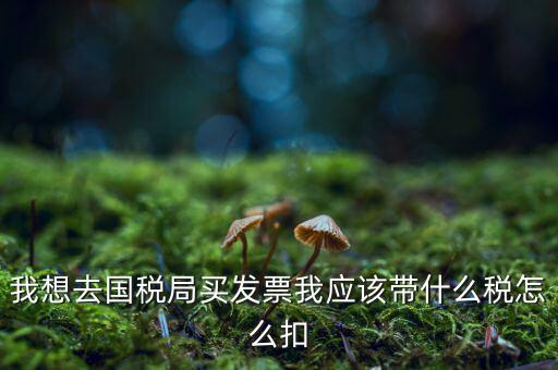 去國稅局扣稅需帶什么，我想去國稅局買發(fā)票我應(yīng)該帶什么稅怎么扣