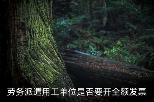 勞務(wù)派遣開什么票，勞務(wù)派遣小時(shí)工發(fā)票怎么開