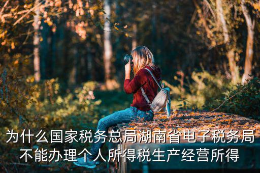 電子稅務局里面為什么沒有個稅，個人所得稅查不到怎么回事