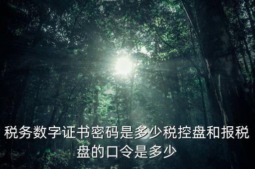 稅務(wù)數(shù)字證書(shū)密碼是多少稅控盤(pán)和報(bào)稅盤(pán)的口令是多少