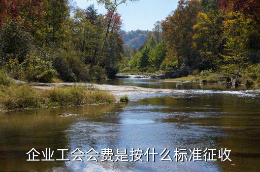 工會按什么征收，企業(yè)工會會費是按什么標準征收